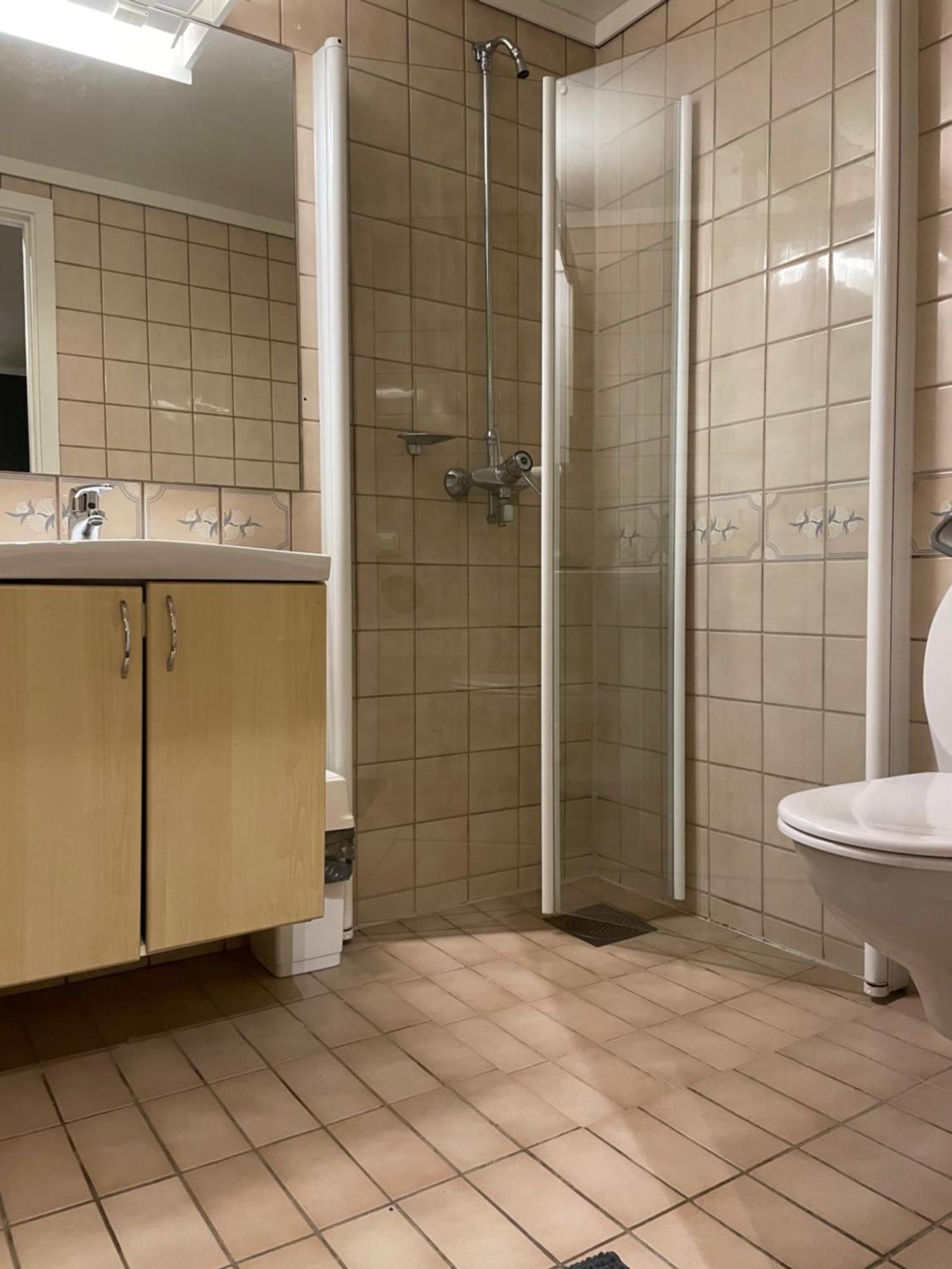 Apartment Sentrumsnaer *
